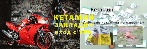 кокс Арсеньев