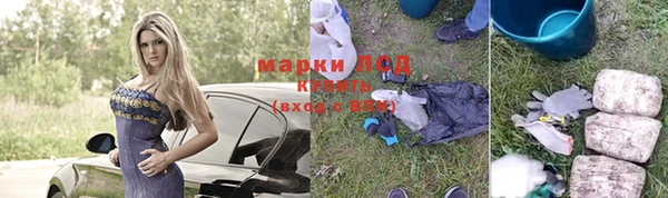 кокс Арсеньев